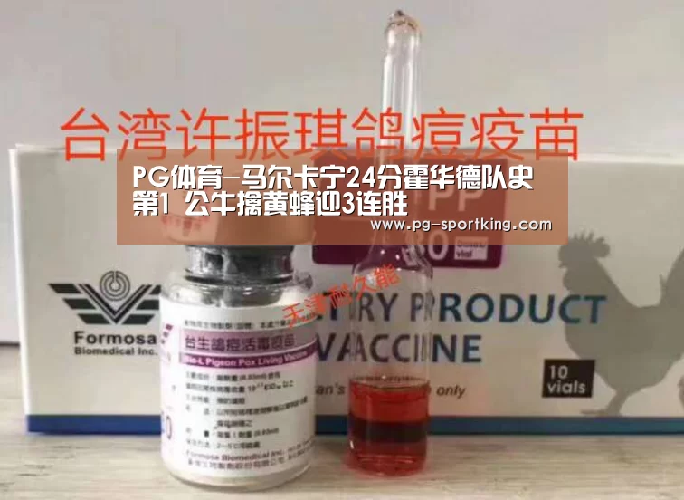 PG体育-马尔卡宁24分霍华德队史第1 公牛擒黄蜂迎3连胜(图3) PG体育