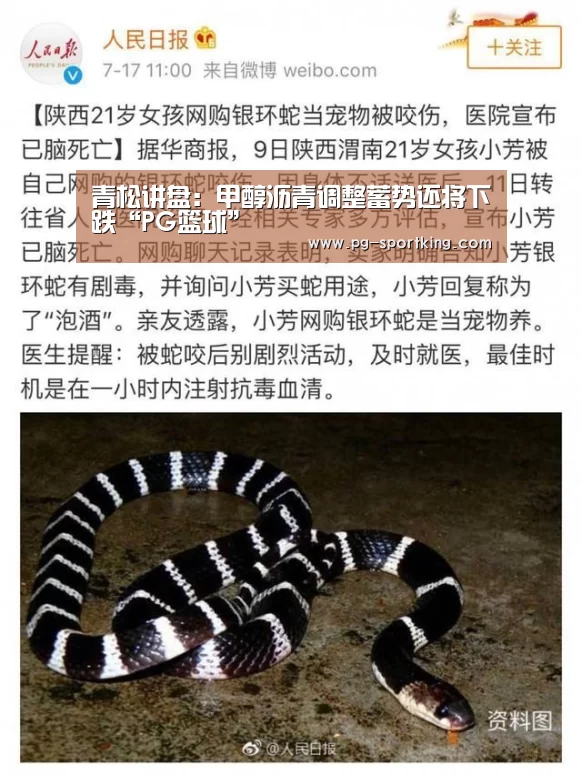 PG竞猜