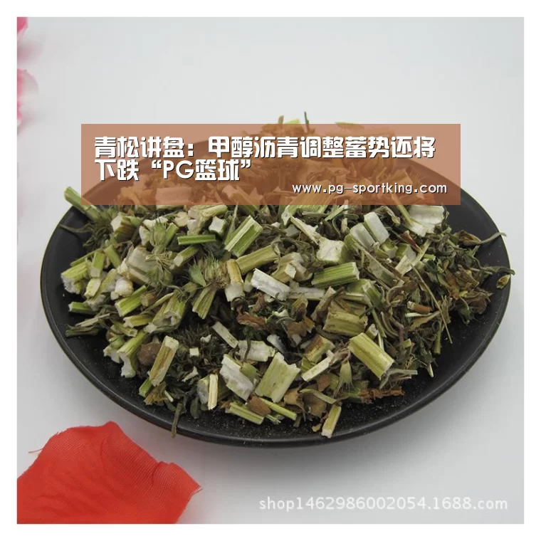 PG篮球