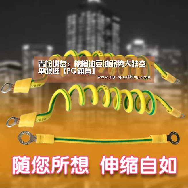 青松讲盘:棕榈油豆油弱势大跌空单跟进【PG体育】(图2) PG篮球