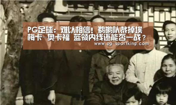 PG足球:难以相信!鹈鹕队裁掉埃梅卡-奥卡福 蓝领内线还能否一战?(图3) PG体育