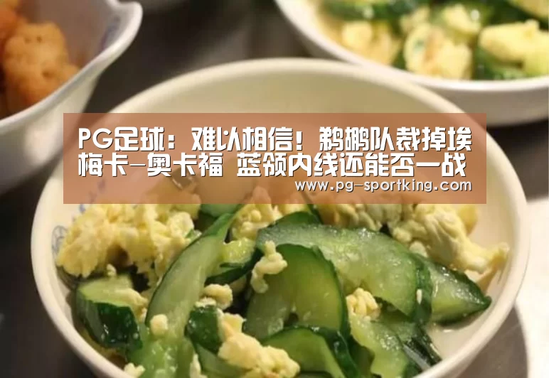 PG足球:难以相信!鹈鹕队裁掉埃梅卡-奥卡福 蓝领内线还能否一战?(图2) PG竞猜