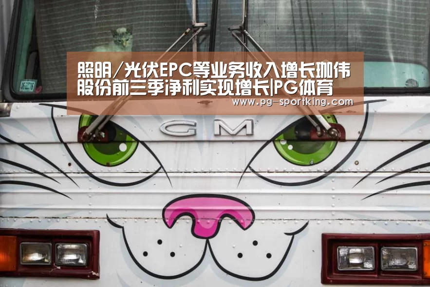 照明/光伏EPC等业务收入增长珈伟股份前三季净利实现增长|PG体育(图1) PG体育